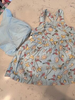 Carter’s Spring Dress (Light Blue Flora: 3pc)